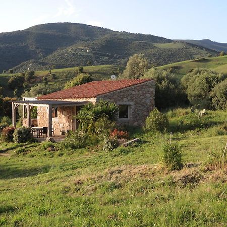 Casa Lysandra Serra-di-Ferro  Dış mekan fotoğraf